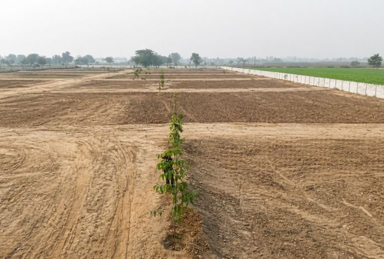Highway Homes: Plots in Jewar